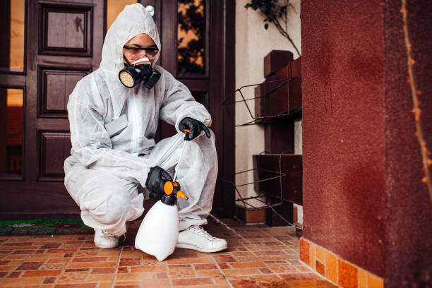 Attic and Crawl Space Rodent Treatment in Punaluu